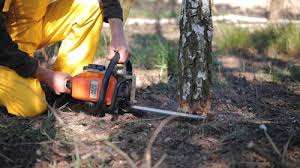  Frontenac, MO Tree Services Pros